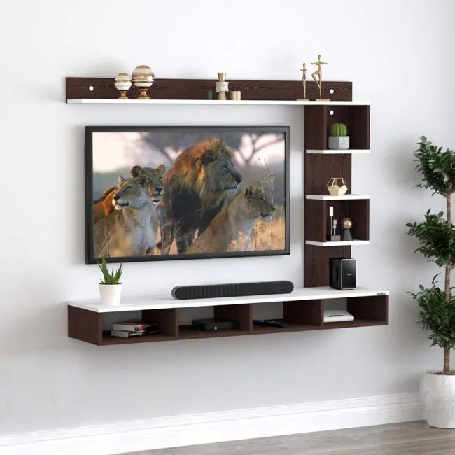 TV unit